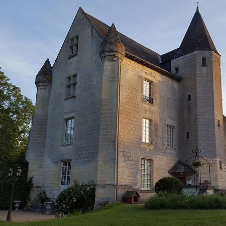 Chateau De Re Le Petit-Pressigny Luaran gambar