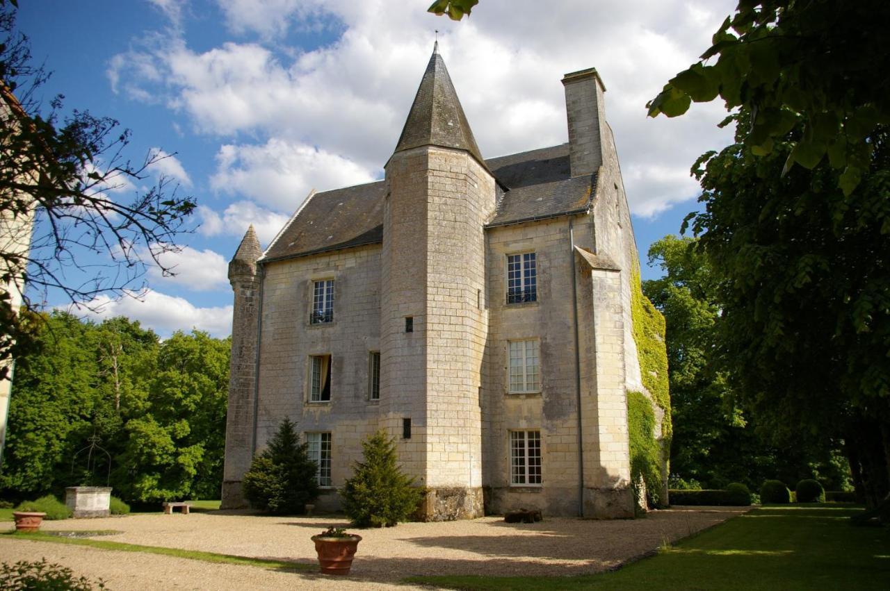 Chateau De Re Le Petit-Pressigny Luaran gambar
