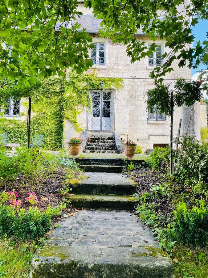 Chateau De Re Le Petit-Pressigny Luaran gambar