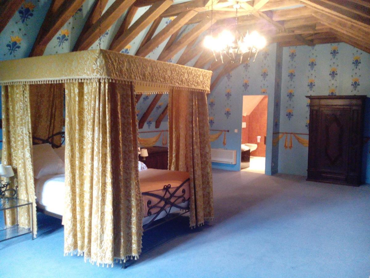 Chateau De Re Le Petit-Pressigny Luaran gambar