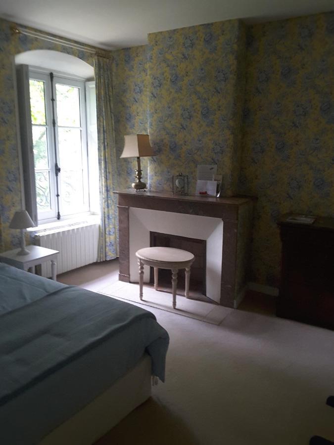 Chateau De Re Le Petit-Pressigny Luaran gambar