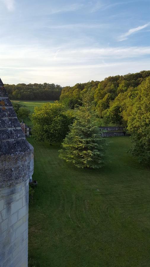 Chateau De Re Le Petit-Pressigny Luaran gambar